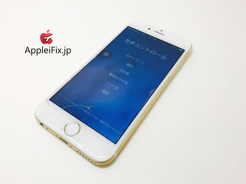 iPhone6 Gold_repair_2.jpg