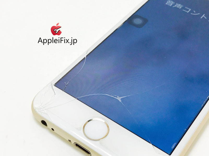 iPhone6 Gold_repair_1.jpg