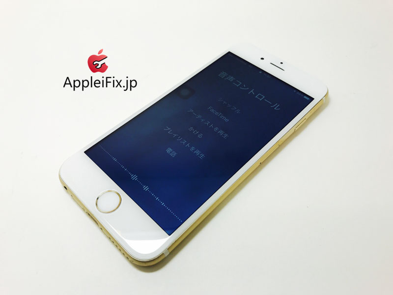 iPhone6 Gold_repair_4.jpg