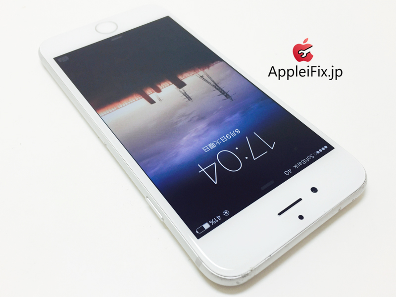 iPhone6 Silver_repair_4.jpg