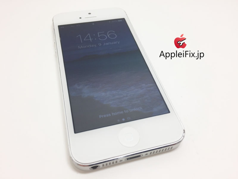 iPhone5シルバー画面修理_Repair_4.jpg