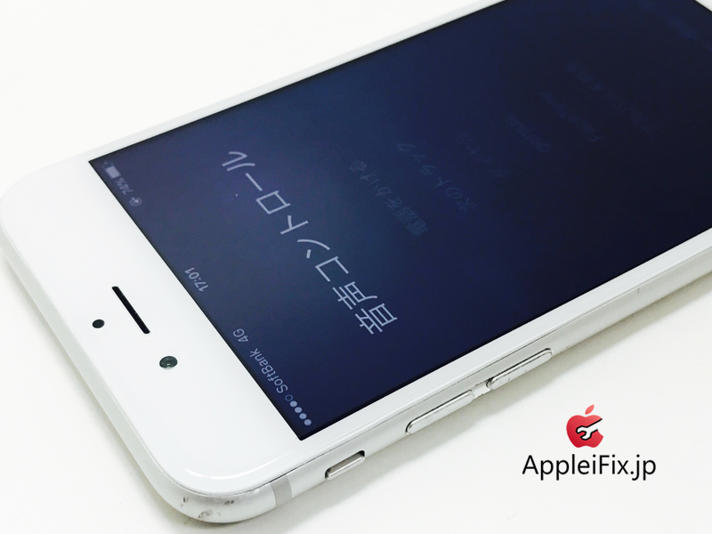 iPhone6S Silver_repair_2.jpg