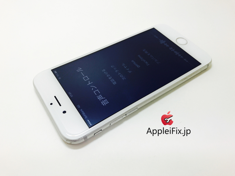 iPhone6S Silver_repair_4.jpg