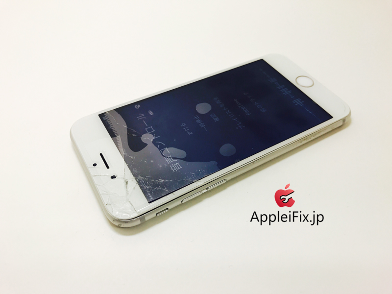 iPhone6S Silver_repair_3.jpg