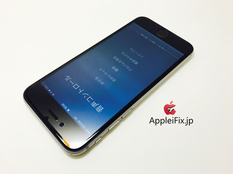 iPhone6 Spacegrey_repair_4.jpg