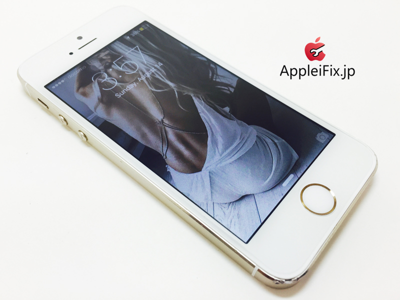 iPhone5S Gold_repair_4.jpg