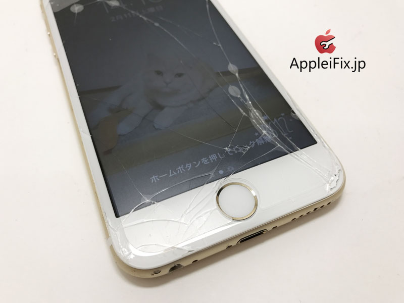 iPhone6S画面交換修理_Repair_2.jpg