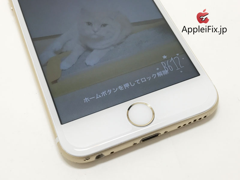 iPhone6S画面交換修理_Repair_5.jpg