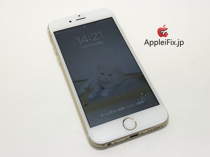 iPhone6S画面交換修理_Repair_6.jpg