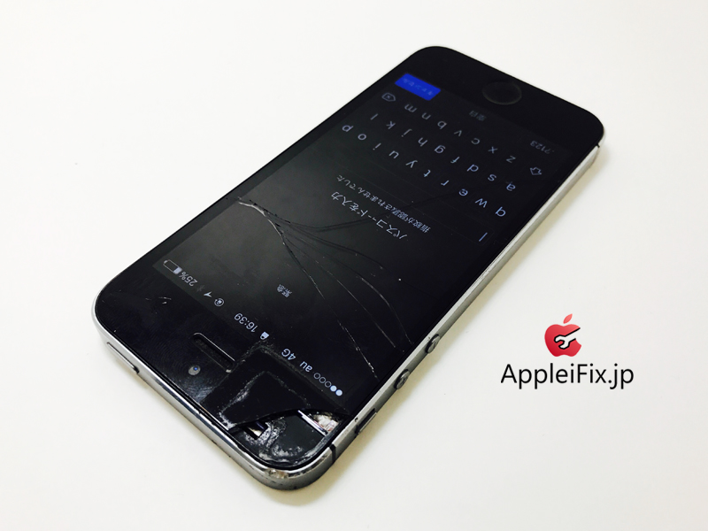 iPhone5S Spacegrey_repair_3.jpg