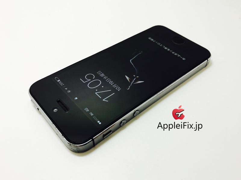 iPhone5S Spacegrey_repair_4.jpg