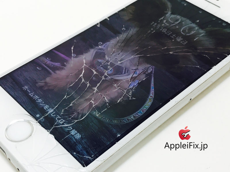 iPhone6S Silver_repair_1.jpg