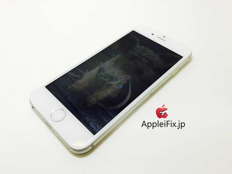 iPhone6S Silver_repair_4.jpg