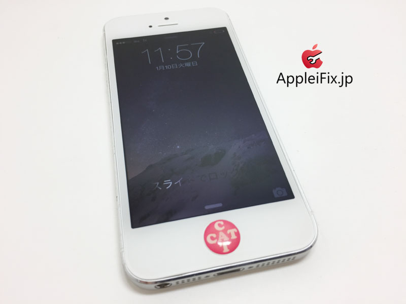 iPhone5画面交換修理_repair_4.jpg