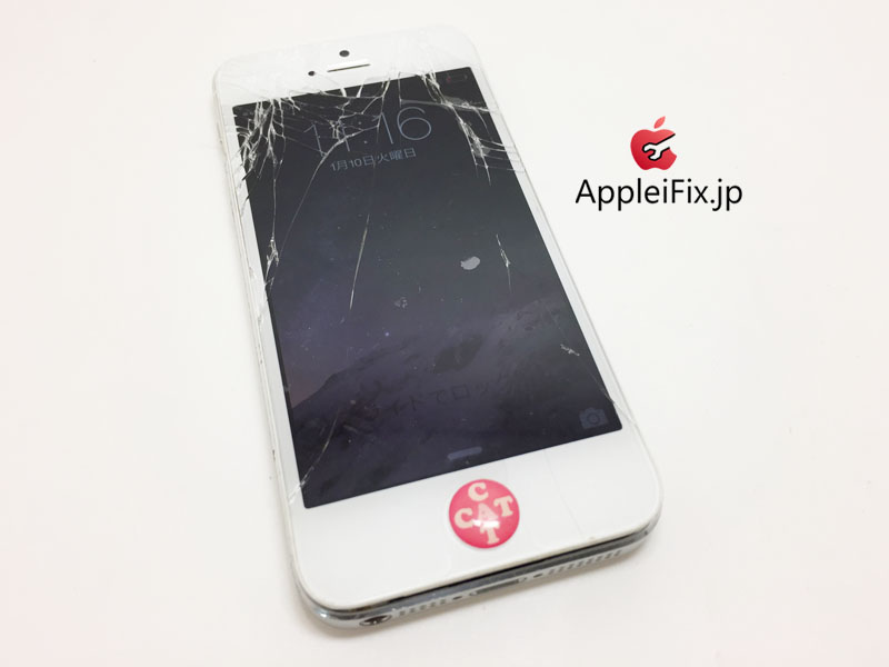 iPhone5画面交換修理_repair_2.jpg