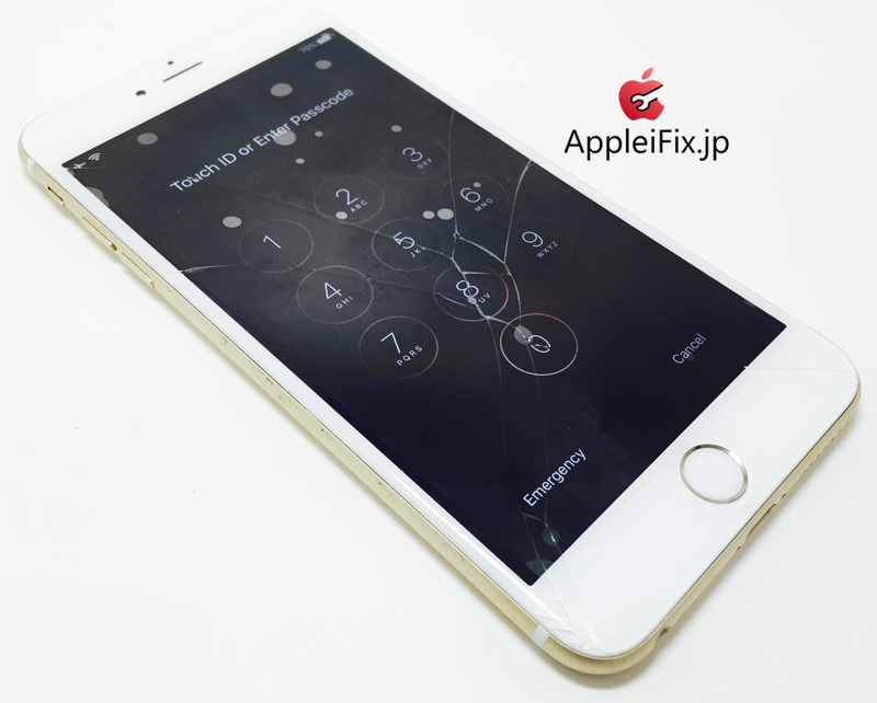 iPhone6 Gold_repair_3.jpg