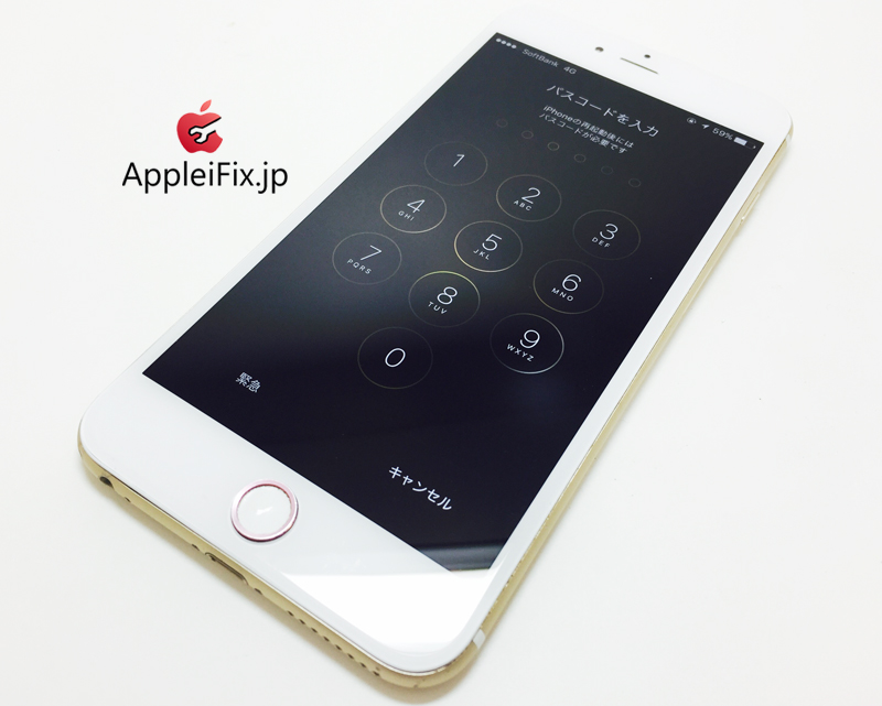 iPhone6 Plus Gold_repair_6.jpg