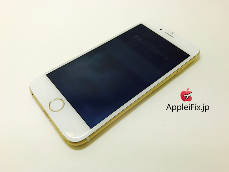 iPhone6 Gold_repair_4.jpg