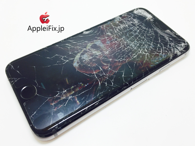 iPhone6 Spacegrey_repair_3.jpg