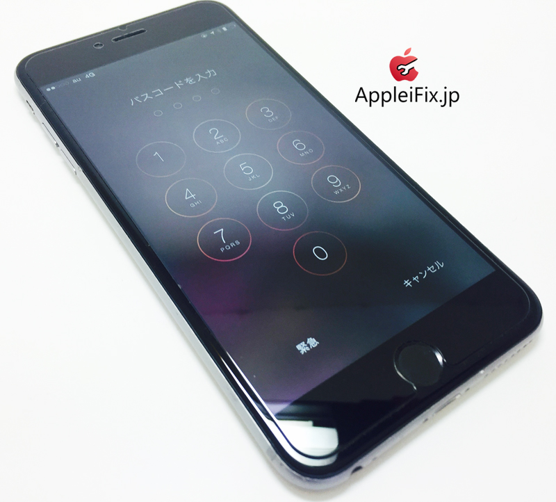 iPhone6 Plus Spacegrey_repair_4.jpg