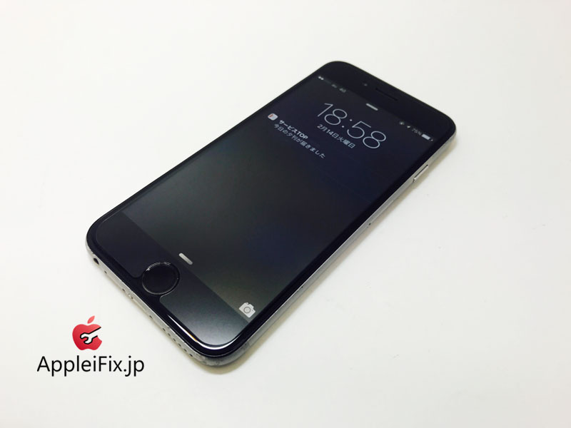 iPhone6 Spacegrey_repair_4.jpg