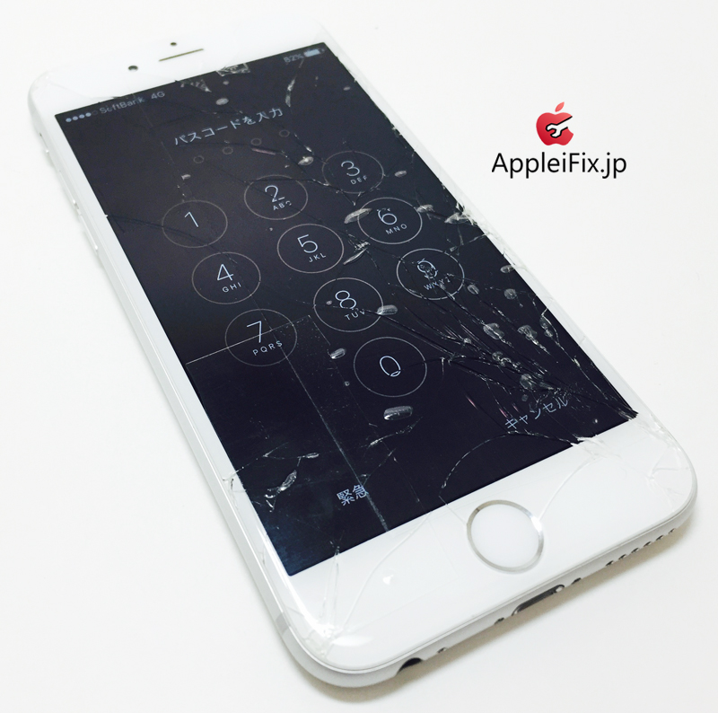 iPhone6 Silver_repair_3.jpg