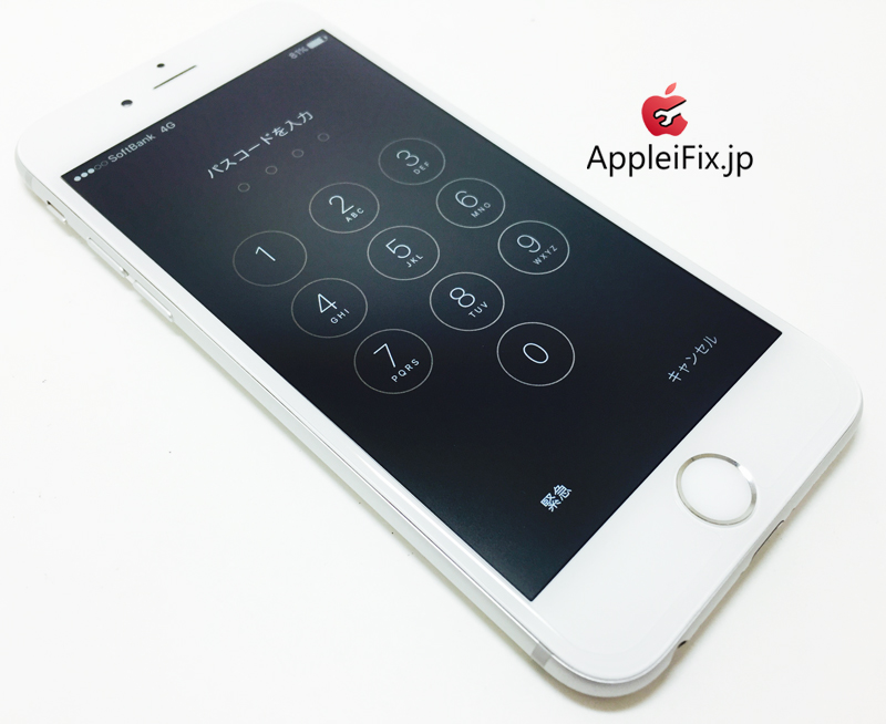 iPhone6 Silver_repair_4.jpg