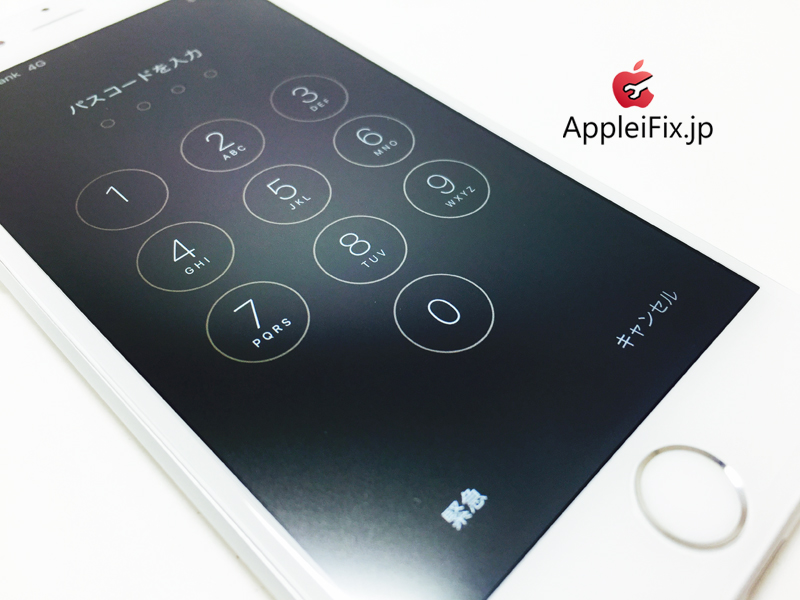 iPhone6 Silver_repair_2.jpg