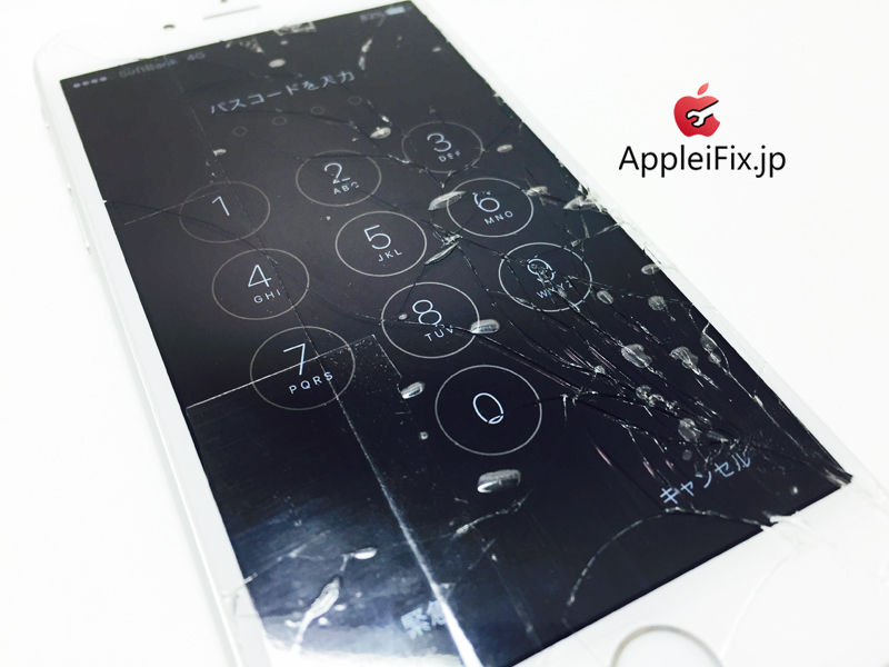 iPhone6 Silver_repair_1.jpg