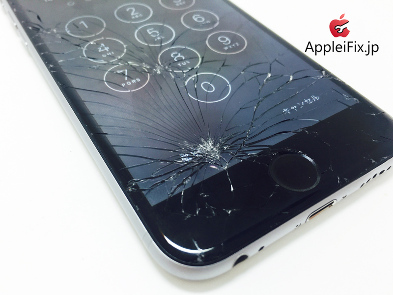 iPhone6 Spacegrey_repair_1.jpg