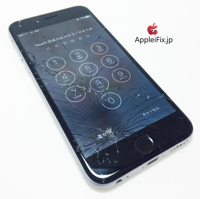 iPhone6 Spacegrey_repair_3.jpg