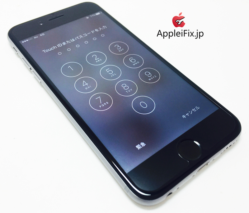 iPhone6 Spacegrey_repair_4.jpg