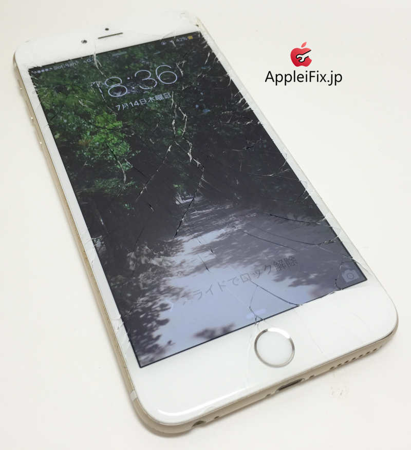 iPhone6Plus画面交換修理_repair_5.jpg