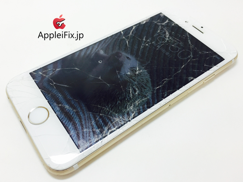 iPhone6 Gold_repair_3.jpg