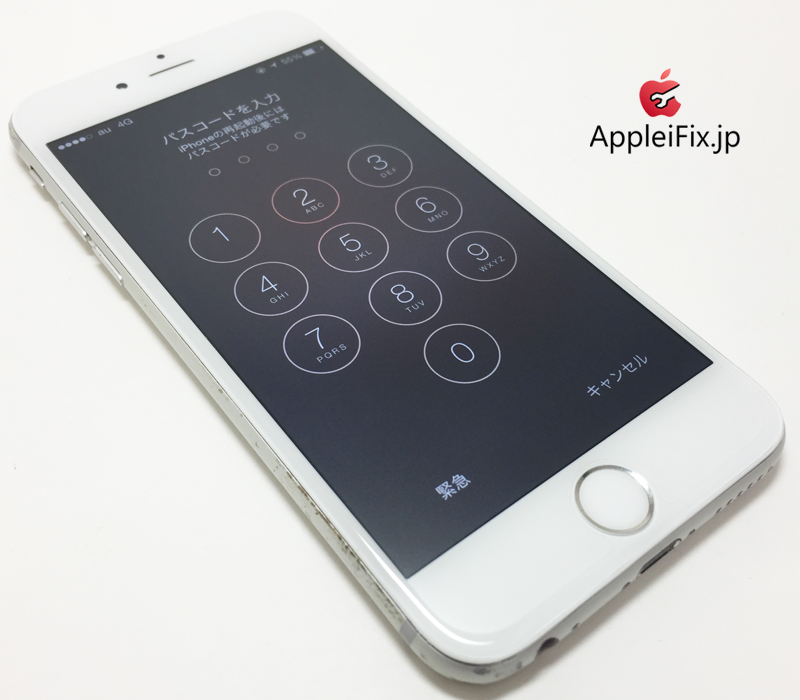 iPhone6 Silver_repair_4.jpg