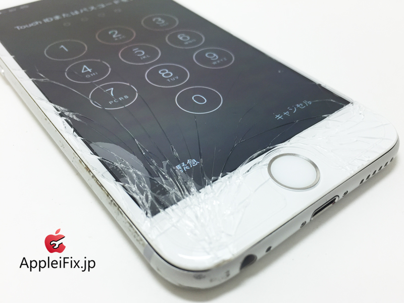 iPhone6 Silver_repair_1.jpg