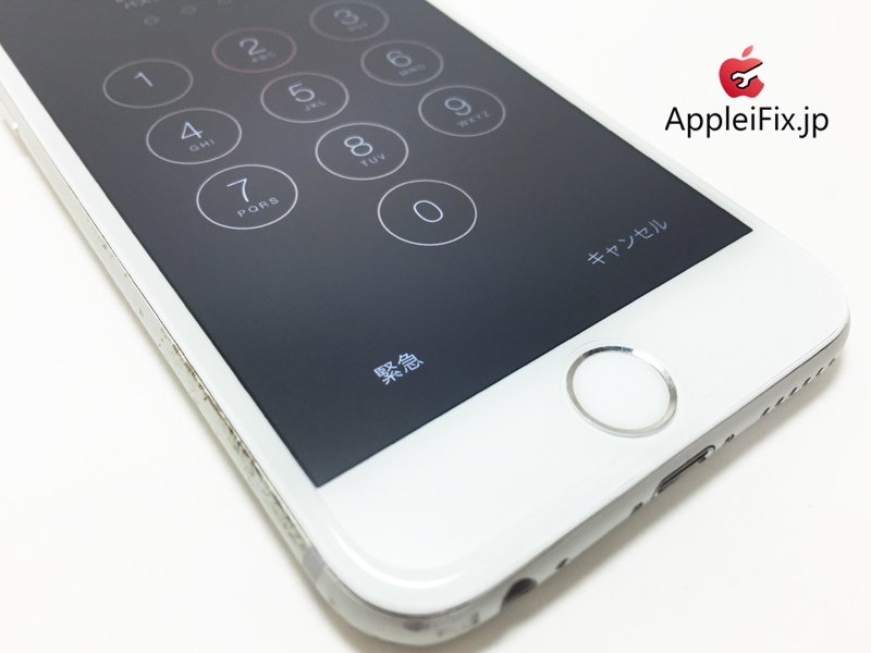 iPhone6 Silver_repair_2.jpg