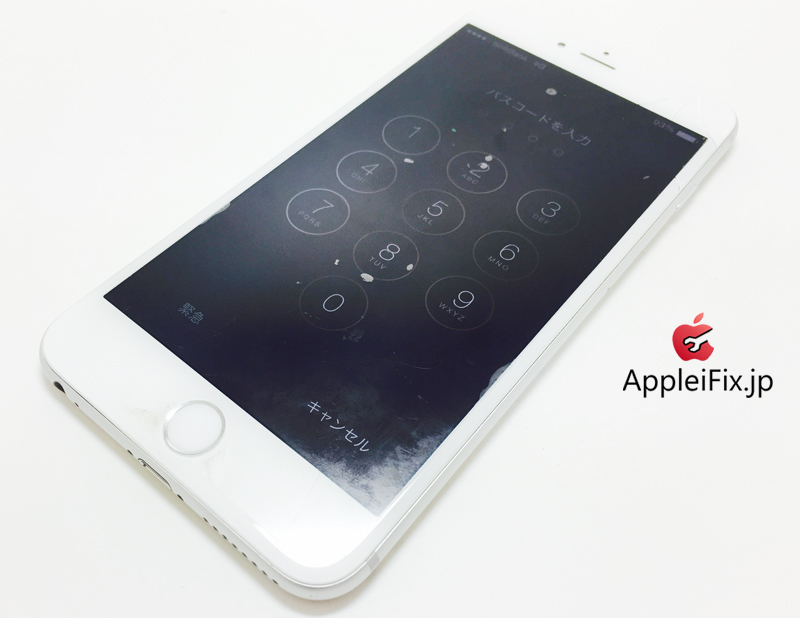 iPhone6 Plus Silver_repair_3.jpg