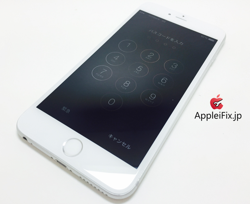 iPhone6 Plus Silver_repair_4.jpg