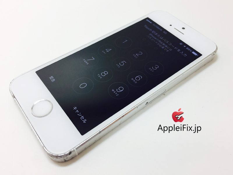 iPhone5S Silver_repair_4.jpg