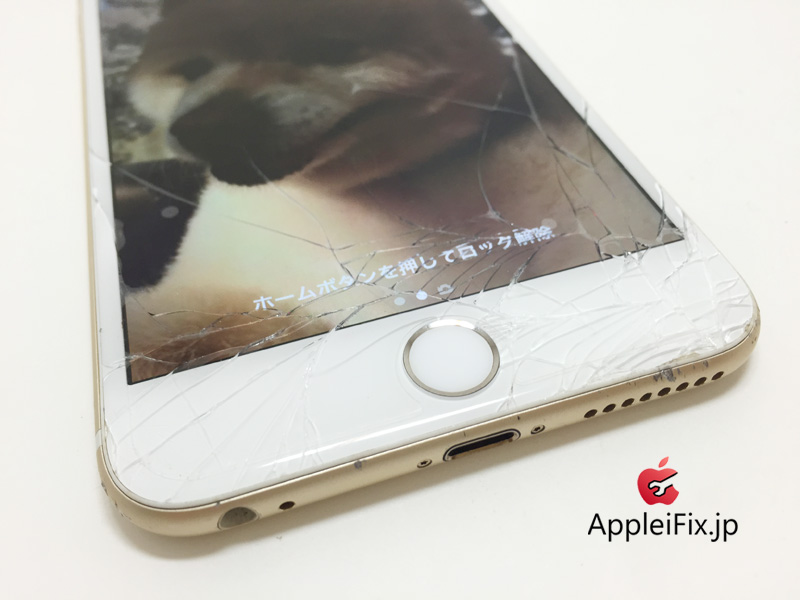 iPhone6Plus画面修理_Repair_1.jpg