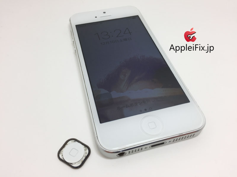 iPhone5画面交換修理とホームボタン交換修理_repair_4.jpg