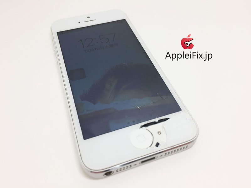 iPhone5画面交換修理とホームボタン交換修理_repair_2.jpg