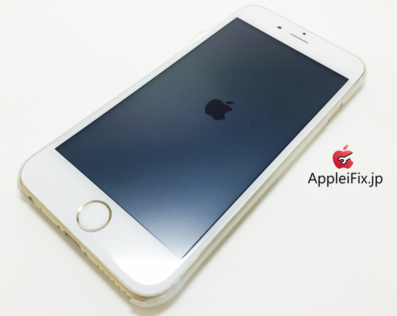 iPhone6S gold_repair_4.jpg