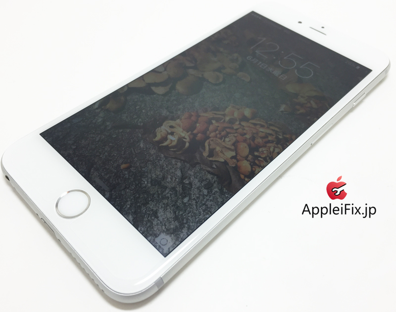 iPhone6 Silver_repair_4.jpg