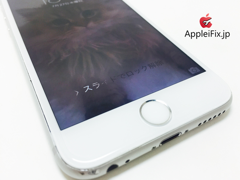 iPhone6S Silver_repair_2.jpg