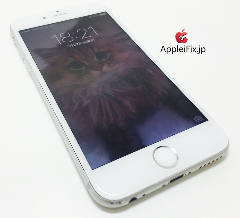 iPhone6S Silver_repair_4.jpg