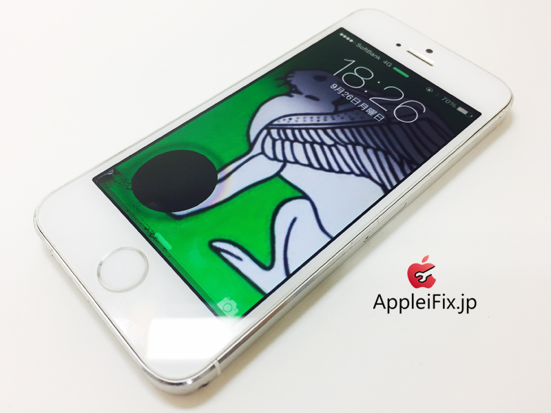 iPhone5S Silver_repair_3.jpg