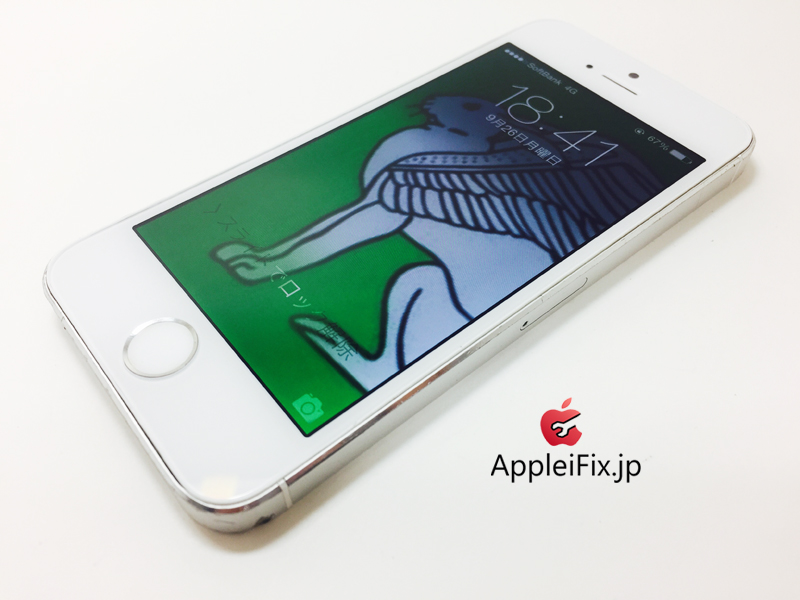 iPhone5S Silver_repair_4.jpg