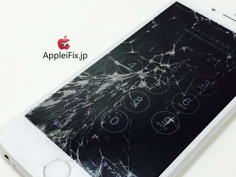 iPhone6S Silver_repair_1.jpg